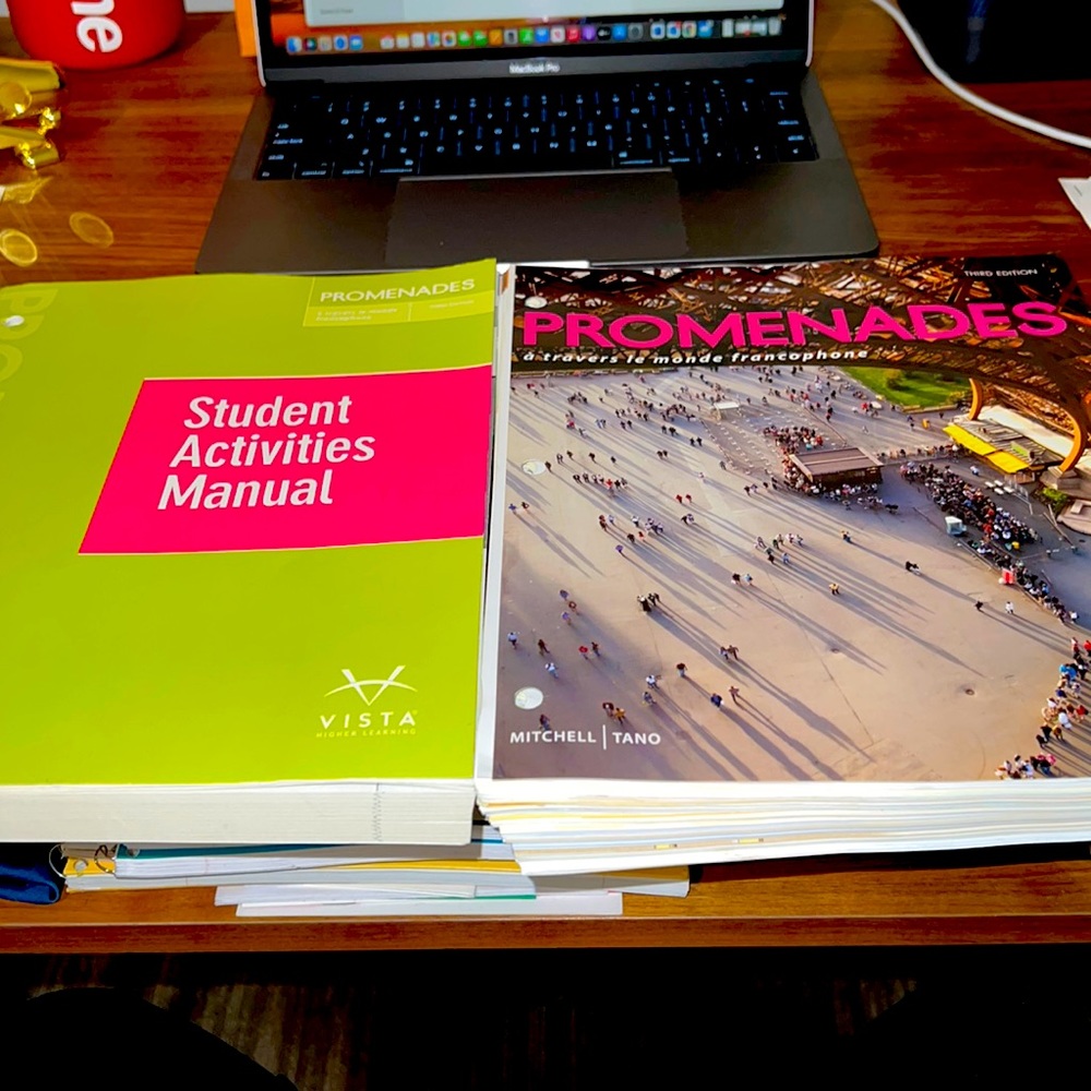 Promenade 3rd edition French textbook and student activities manual.